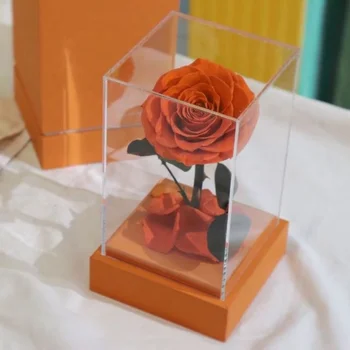 Virágok akril dobozok nyári flóra 2023 nagykereskedelem örök örökké narancssárga rózsa akril díszdobozban